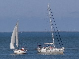 <a href='bateau.php?id_bateau_select=125'>Feeling 9.20</a> : <a href='equipier.php?id_contact_select=88'>Antoine D</a> - <a href='equipier.php?id_contact_select=133'>Laurent N</a> - <a href='equipier.php?id_contact_select=89'>Benoit J</a> <br> <a href='bateau.php?id_bateau_select=129'>Ovni</a> : 
